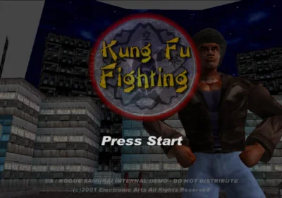 Kung Fu Fighting box art