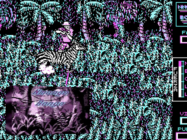 Nmongo Bongo — mixrbv2 (WOR)