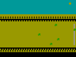 Cactuar Racing — ss (WOR)