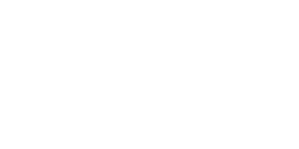 Fly — wheel-hd (WOR)