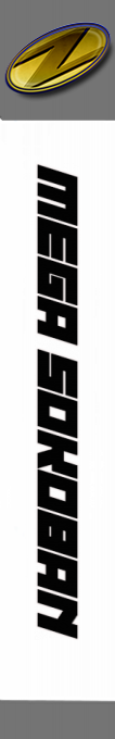 Mega Sokoban — box-2D-side (SS)