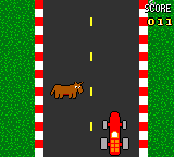 Donkey.GG — ss (WOR)