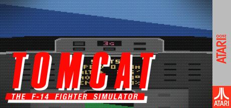 Dan Kitchen's Tomcat - The F-14 Fighter Simulator — steamgrid