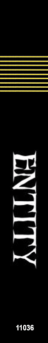 Entity, The — box-2D-side (US)