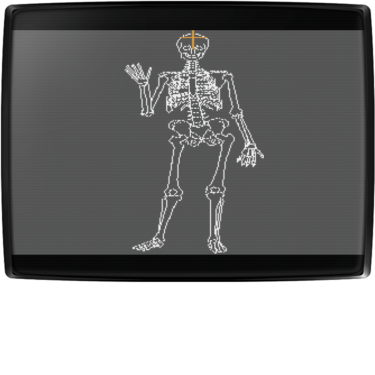 Human Anatomy Series : Skeleton Bones Tutorial — mixrbv2 (WOR)