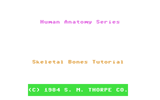 Human Anatomy Series : Skeleton Bones Tutorial — sstitle (WOR)