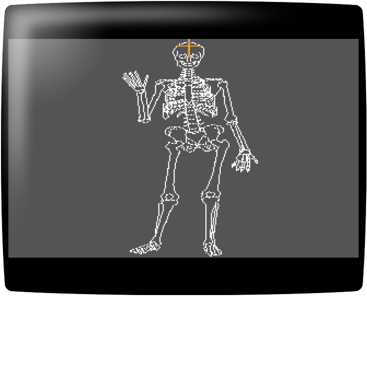 Human Anatomy Series : Skeleton Bones Tutorial — mixrbv1 (WOR)