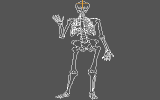 Human Anatomy Series : Skeleton Bones Tutorial — ss (WOR)