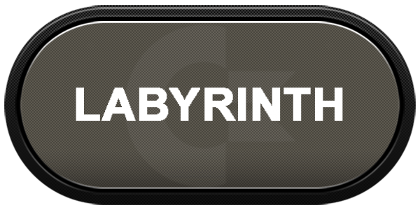 Labyrinth — wheel-carbon (US)