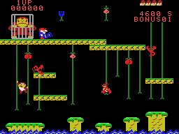 Super DK! Junior — ss (WOR)