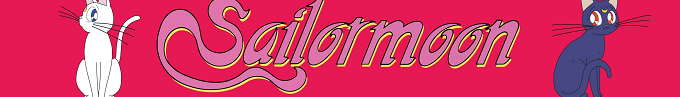 Sailor Moon — box-2D-side (FR)