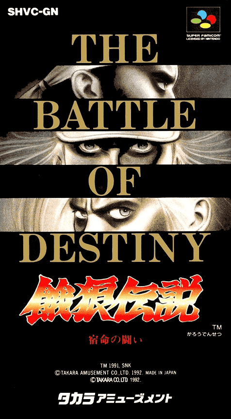 Fatal Fury — box-2D (JP)
