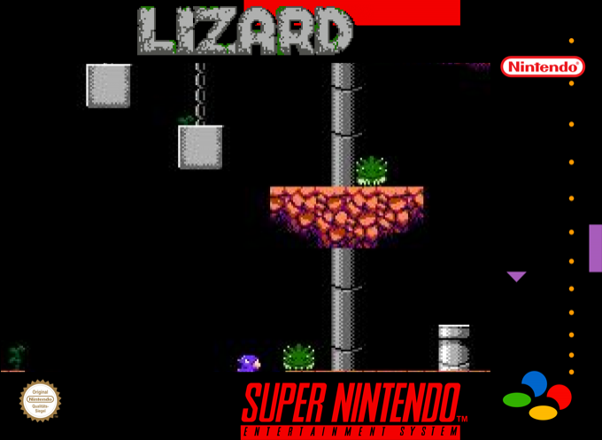 Lizard box art