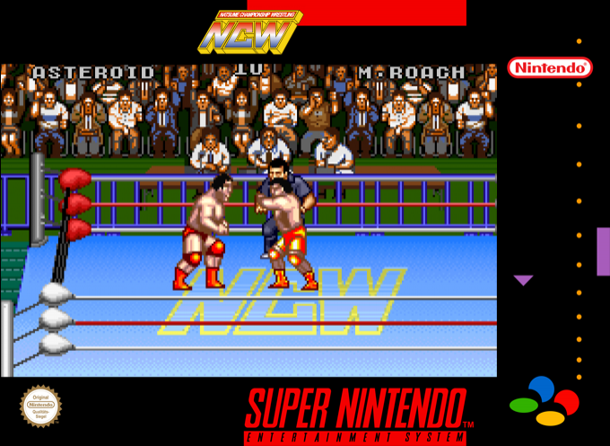 Natsume Championship Wrestling — box-2D (SS)