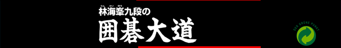 Rin Kaihou Kudan No Igo Taidou — box-2D-side (SS)