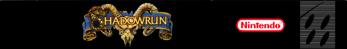 Shadowrun — box-2D-side (DE)