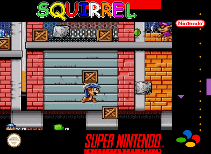 Squirrel box art