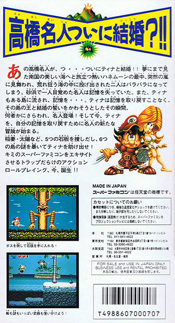 Super Adventure Island 2 — box-2D-back (JP)