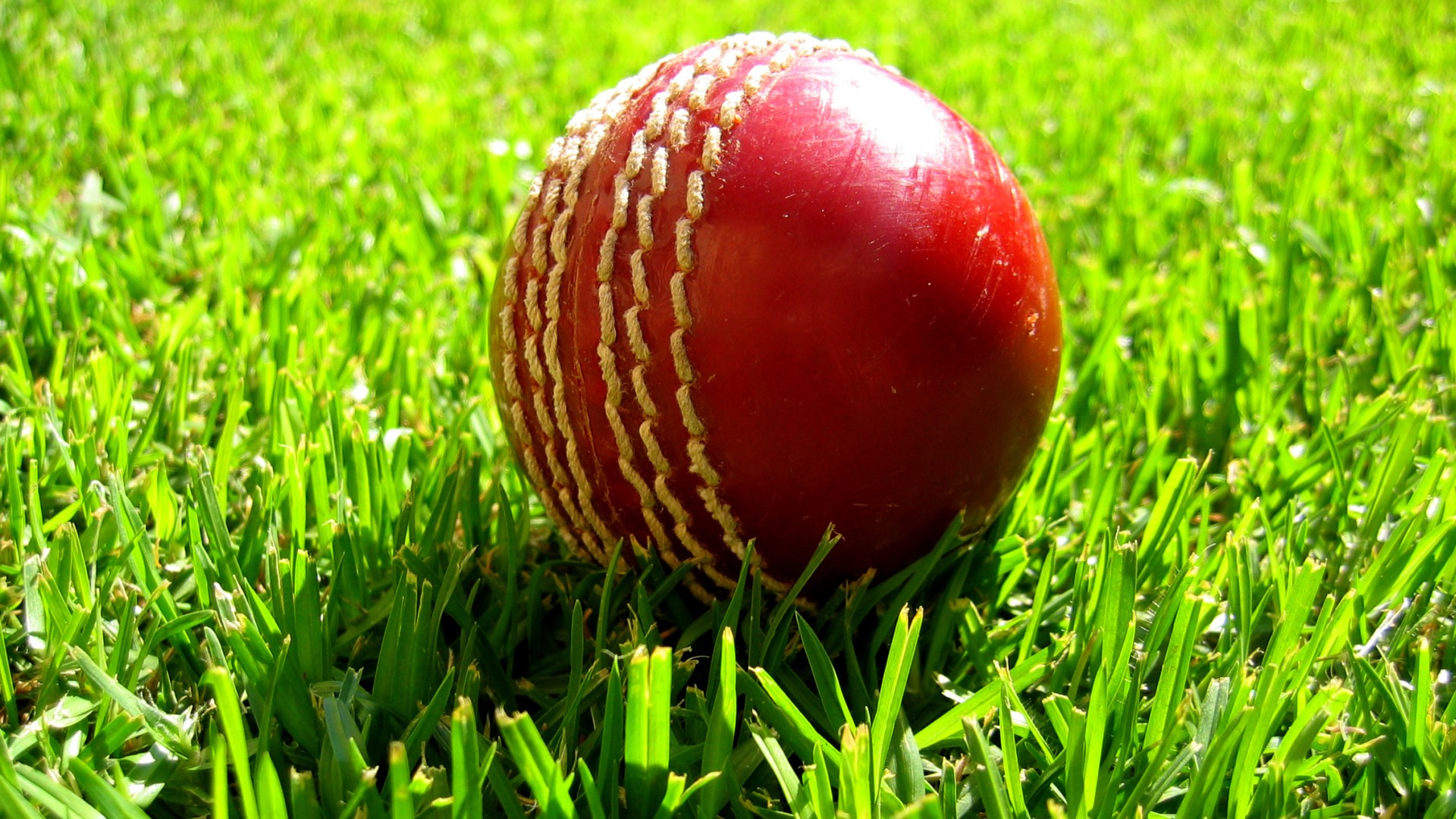 Super International Cricket — fanart
