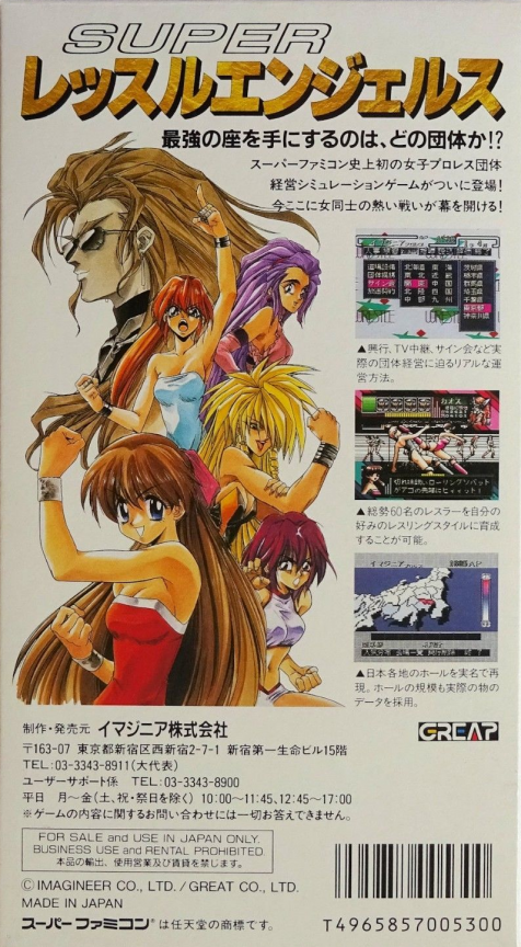 Super Wrestle Angels — box-2D-back (JP)