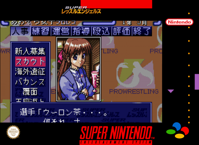 Super Wrestle Angels — box-2D (SS)