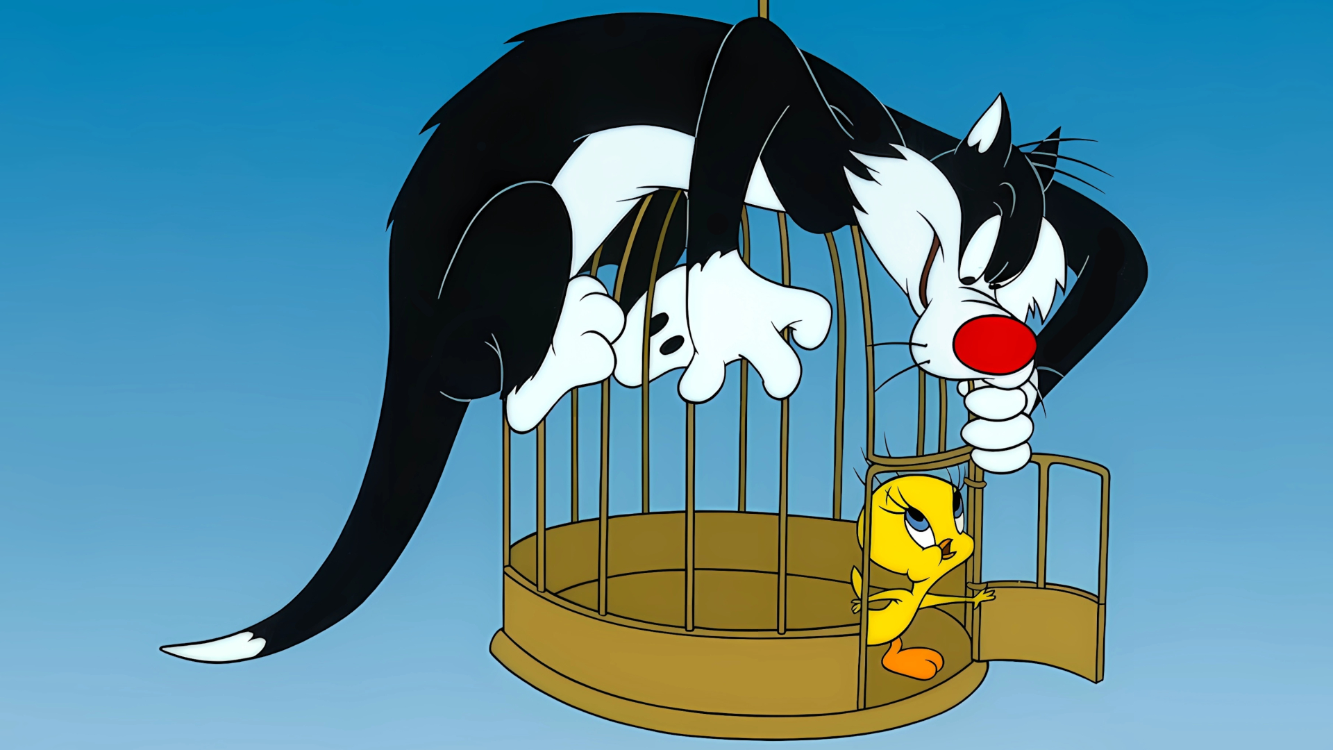 Sylvester And Tweety — fanart