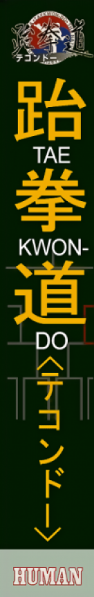 Taekwon-do — box-2D-side (JP)
