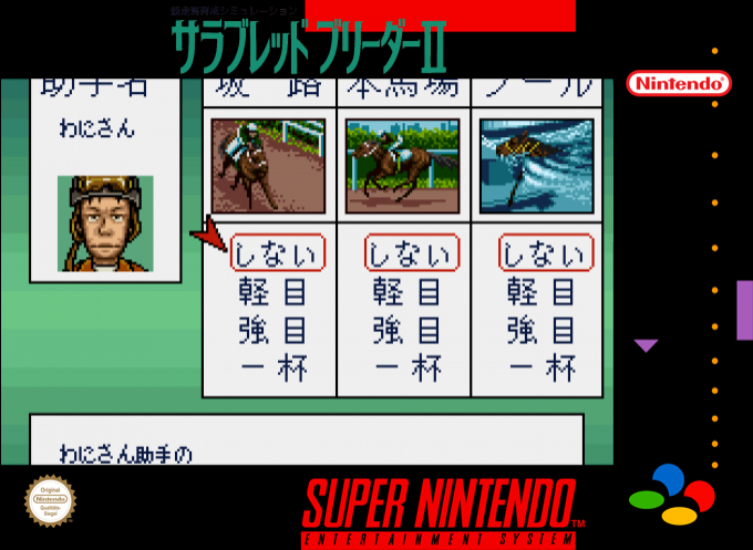 Thoroughbred Breeder 2 — box-2D (SS)