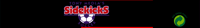 Tony Meola's Sidekicks Soccer — box-2D-side (SS)