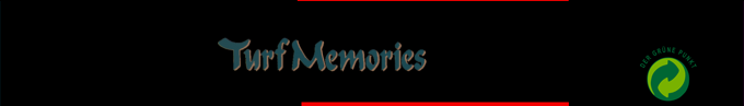 Turf Memories — box-2D-side (SS)