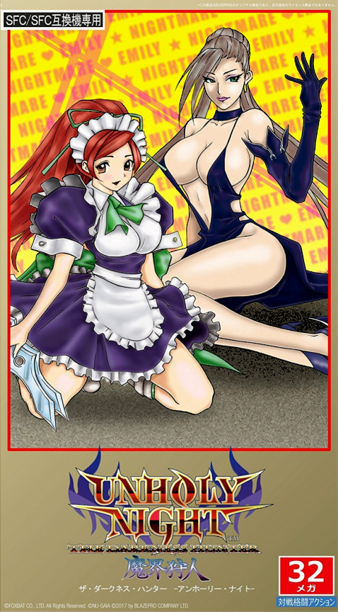 Unholy Night The Darkness Hunter — box-2D (JP)