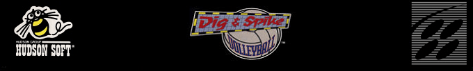 Dig And Spike Volleyball — box-2D-side (US)