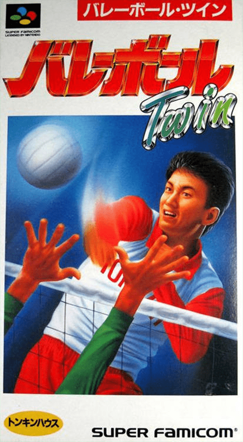 Dig And Spike Volleyball — box-2D (JP)