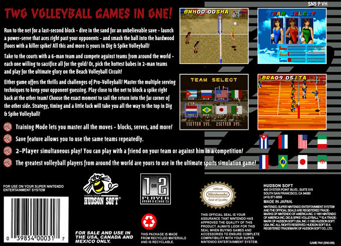 Dig And Spike Volleyball — box-2D-back (US)