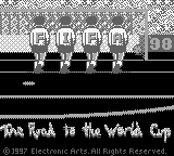 Fifa Road To World Cup '98 — sstitle (WOR)