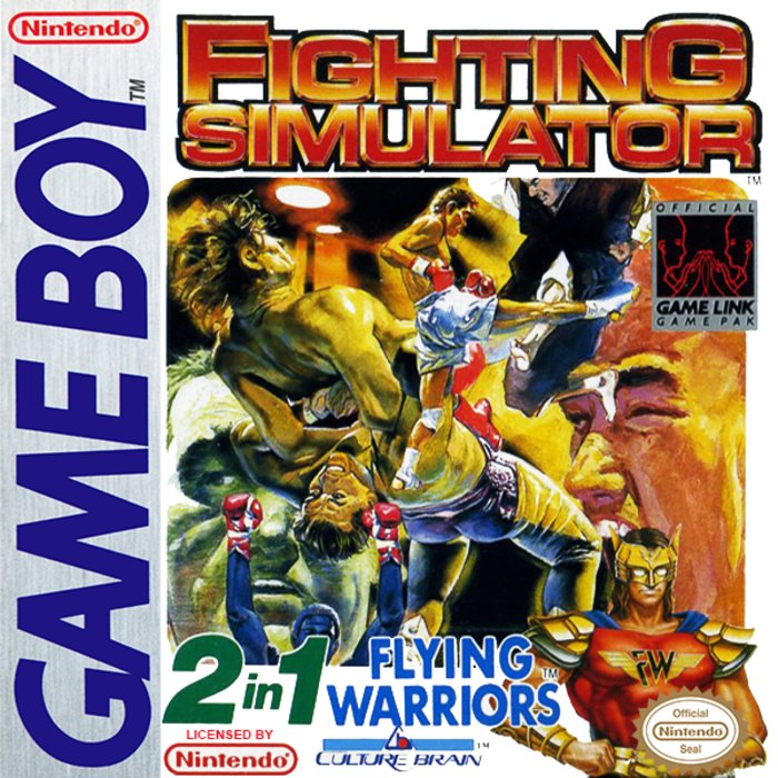 Fighting Simulator 2 in 1 box art