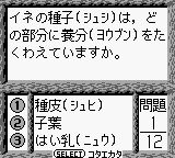 Goukaku Boy Series - Shikakui Atama o Maruku Suru - Rika Battle Hen — ss (WOR)