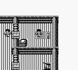 Jungle Wars — ss (WOR)