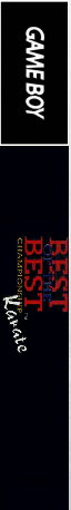 Best of the Best : Championship Karate — box-2D-side (US)