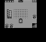 Monster Race — ss (WOR)