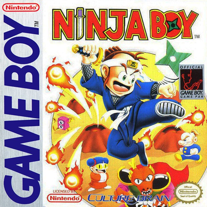 Ninja Boy box art