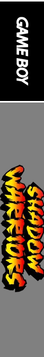 Ninja Gaiden Shadow — box-2D-side (EU)