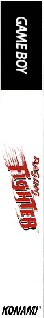 Raging Fighter — box-2D-side (US)