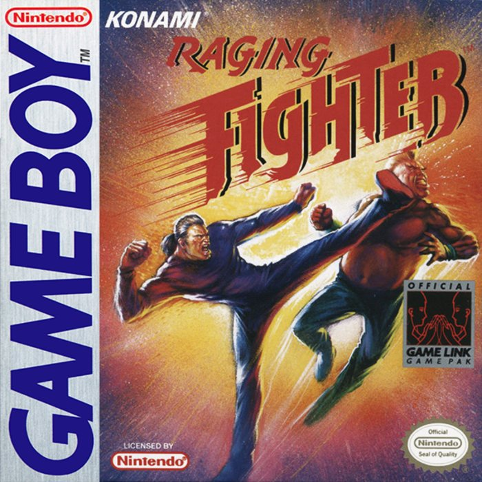 Raging Fighter box art