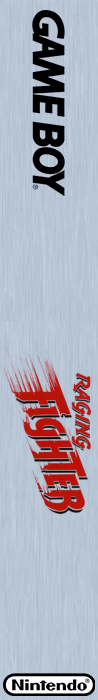 Raging Fighter — box-2D-side (DE)