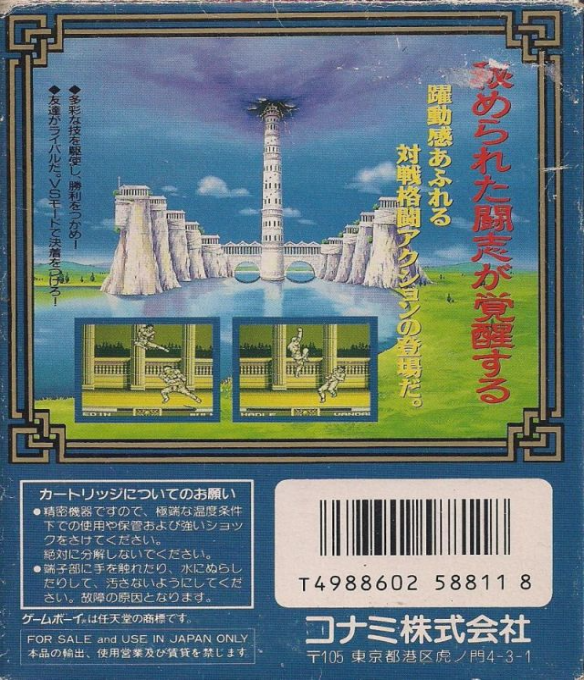Raging Fighter — box-2D-back (JP)