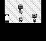 Pocket Monsters - Midori — ss (WOR)