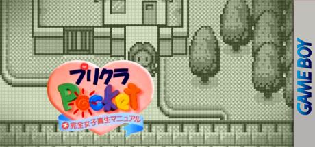 Purikura Pocket - Fukanzen Joshikousei Manual — steamgrid