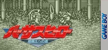 Versus Hero - Kakutou Ou E No Michi — steamgrid