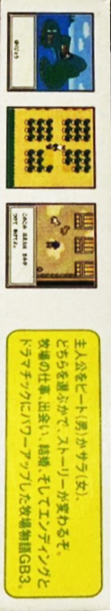 Harvest Moon 3 Gbc — box-2D-side (JP)